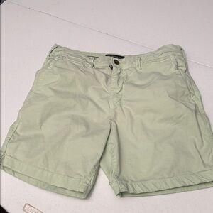 American Eagle Outfitters Light Sage Green Men's Shorts